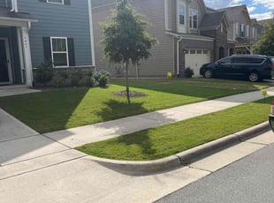 Kristy J.'s Yard Cutting service result