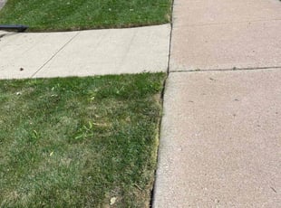 Caroline C.'s Grass Cutting service result
