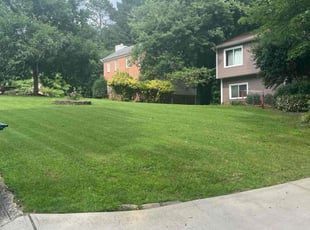 Eneida P.'s Grass Cutting service result