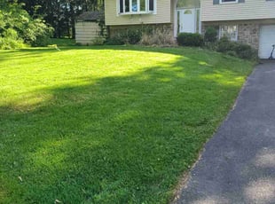 Richard G.'s Lawn Mowing service result