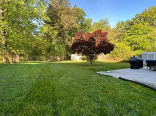 Ricardo B.'s Grass Cutting service result