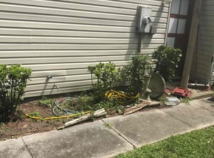 Bush Trimming by Brenton Seal for Heather F. in Virginia Beach, VA