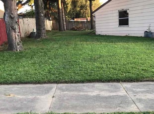 Ed P.'s Yard Cutting service result