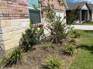 Weeding by Fred Rodriguez for Anthony W. in Bastrop, TX