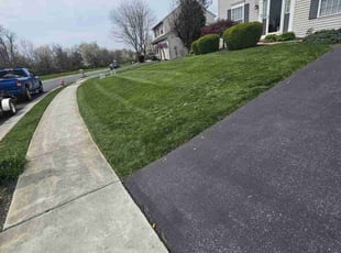 Kennedy P.'s Lawn Mowing service result
