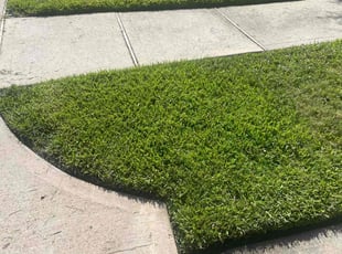 Tinesha H.'s Lawn Care service result