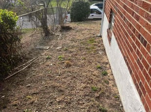 Leaf Removal by Steven Foster for Latoya S. in Glenarden, MD