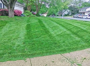 Sarah v.'s Lawn Service service result
