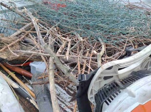 Cleanups by Damin Soto for Rebecca P. in East Lansing, MI