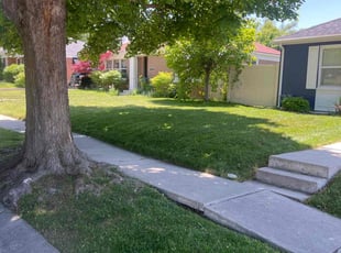 Tom Z.'s Lawn Mowing Service service result