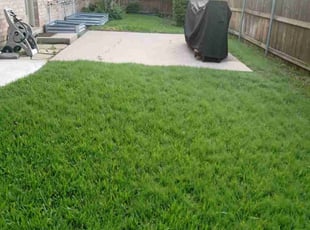 Robert B.'s Lawn Service service result