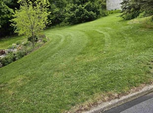 Lisa M.'s Lawn Service service result