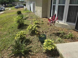 Weeding by Jon Mccormick for Dahlia M. in Altamonte Springs, FL