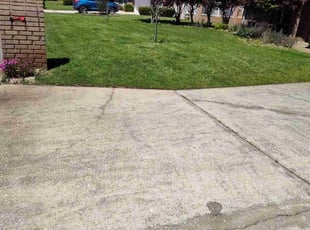 Brian M.'s Yard Cutting service result