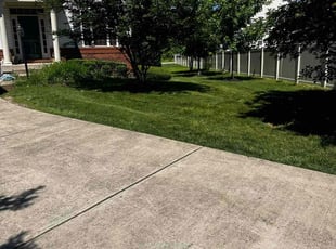 Amoni D.'s Lawn Mowing service result