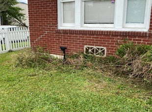 Bush Trimming by Arnold Martin for Ernest B. in Houston, TX