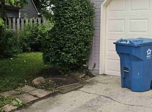 Bush Trimming by David Garcia for Charles A. in Indianapolis, IN