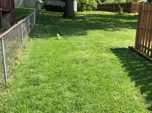 Bush Trimming by Luke Walker for Travus R. in Blue Springs, MO