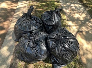 Leaf Removal by Jonathon Holland for Sylvia P. in Cypress, TX