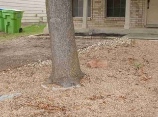 Leaf Removal by Jason Salazar for Cameron D. in San Antonio, TX