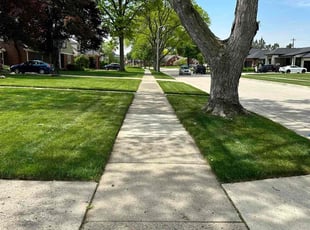Stacey Z.'s Yard Cutting service result