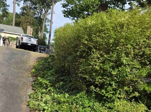 Bush Trimming by Vincent Guzman for Richard R. in Midlothian, VA