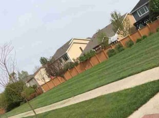 Weeding by Jose Gutierrez for Sean G. in Loveland, CO