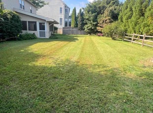 Andrew L.'s Lawn Mowing service result