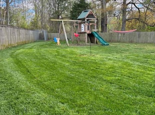 Linda C.'s Lawn Mowing Service service result