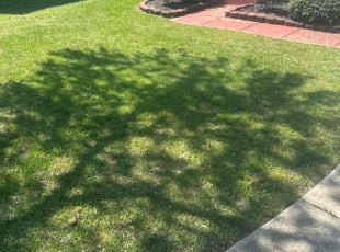 Rupel p.'s Grass Cutting service result