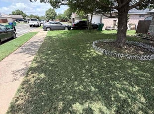 Mark P.'s Lawn Mowing service result