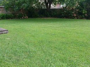 Julia J.'s Grass Cutting service result