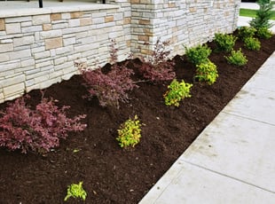 Mulching by Chris Thomas for Mir A. in Chester, VA