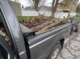 Leaf Removal by Eric Crawford for Adriyona B. in Buffalo, NY