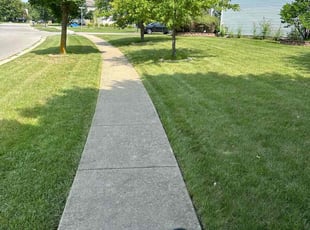 Ken S.'s Lawn Mowing service result