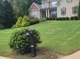 Cambria A.'s Lawn Mowing service result