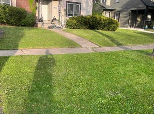 Mulching by jerome pickett for Korie E. in Detroit, MI