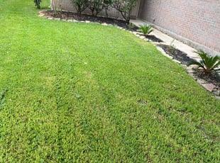 Irionne C.'s Lawn Mowing service result