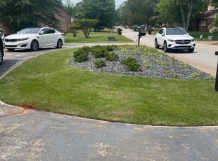 Yeftusira M.'s Yard Cutting service result