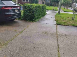 Bush Trimming by Naturallyp Bonsell jr for Mackenzie H. in Jacksonville, FL
