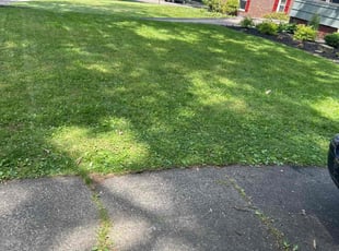 Jessica R.'s Lawn Care service result
