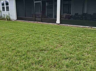Shannon R.'s Lawn Mowing service result