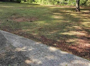 Bush Trimming by Henry Wilson for Chris S. in Douglasville, GA