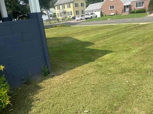 Anita L.'s Lawn Service service result