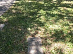 Haley T.'s Yard Cutting service result