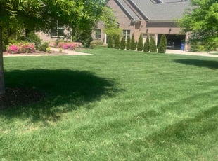 Tarsha L.'s Lawn Maintenance service result