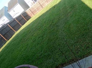 Joe C.'s Yard Cutting service result