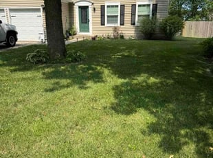 Roberto A.'s Lawn Service service result
