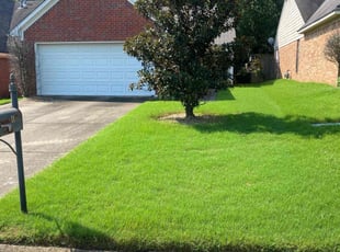 Cordale D.'s Lawn Care service result