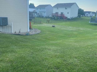 Alicia T.'s Lawn Mowing Service service result